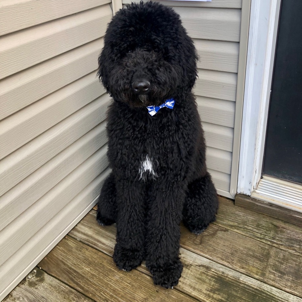 Meet your Posher, Colleen